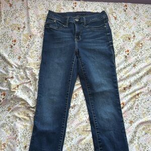 Rock & Republic Ankle Skinny Jeans